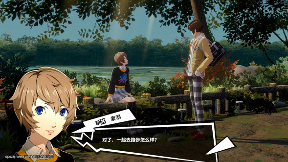 Persona 5 Royal [Nintendo Switch, английская версия] в Саранске