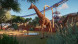 Игра Planet Zoo: Console Edition [PS5, английская версия] в Саранске