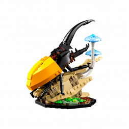 Конструктор LEGO Ideas 21342 Коллекция насекомых