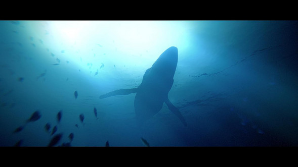 Игра Under The Waves [PS4, русские субтитры] в Саранске