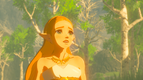 Legend of Zelda: Breath of the Wild [NSwitch, Русская версия] в Саранске